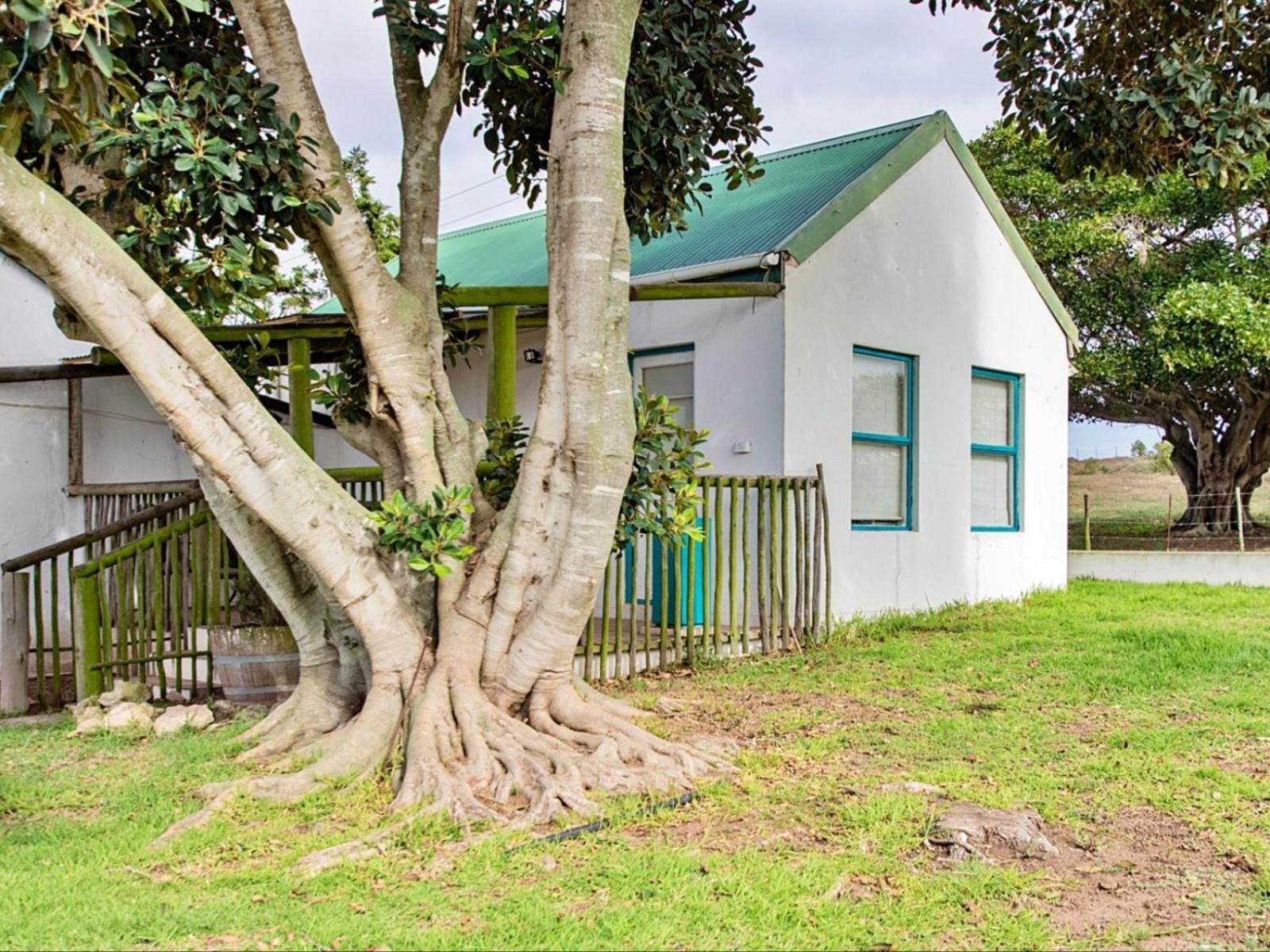 Wiggins Self Catering Apartamento Jacobs Bay Exterior foto